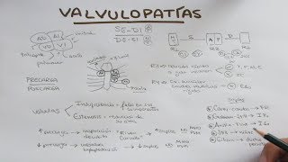 Semiología cardiovascular focos cardiacos soplos R3 R4 [upl. by Emmye]