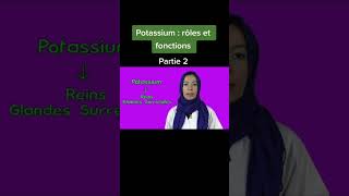 Quel est le rôle du potassium [upl. by Enelrad862]