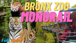 Bronx Zoo Monorail 2023  Full Experience with Dangerous Animals travel [upl. by Anividul]