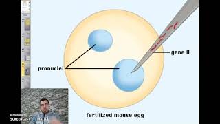 chapter 3 activity 2 The Gene Structure and Information Unit part 2 Grade 11 [upl. by Aed831]