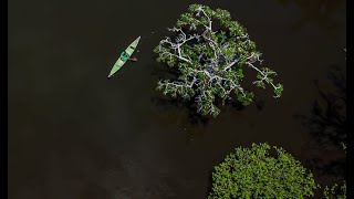 Trailer documental Cuyabeno Paraísos Escondidos del Ecuador [upl. by Cunningham443]