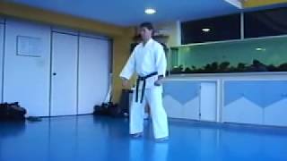 SEIENCHIN KATA SEIGOKAN GOJURYU R TAKESHI SEIGOKAI  SENSEI FUKUCHI [upl. by Lianne393]