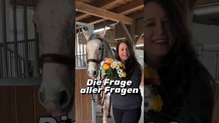 Was für ein unerwarteter und schöner Empfang im Stall 😍🐴 [upl. by Ehrlich]