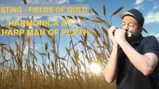 Sting  Fields of Gold  Harmonica cover theofficialsting sting fieldsofgold youtube [upl. by Susanna392]