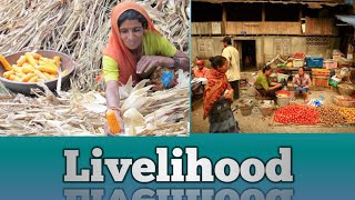 Livelihood meaning in Telugu and English [upl. by Nyrem]