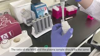 How to isolate exosome using ExoCAS2 Mini Maxi Kit Microgentas Inc 마이크로젠타스 엑소좀 분리추출 실험 영상 [upl. by Diskin]