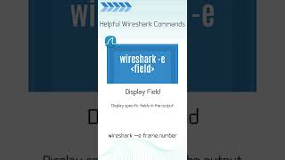 Wireshark Command Display Field [upl. by Ellehcam]