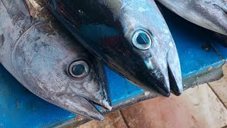 Live 04 Aug 24 ‼️🔥 Cutting fresh yellowfin tuna by skilled hands at Sorong market in Indonesia [upl. by Rolfston]