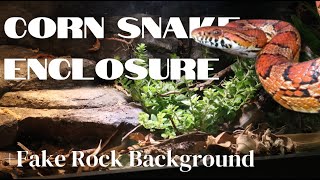 Corn Snake Bioactive Enclosure  Fake Rock Background [upl. by Erickson]