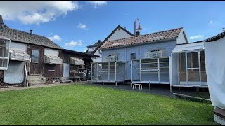 Livestream vom 4 Brieftauben Preisflug der RV Westerwald [upl. by Sclater43]