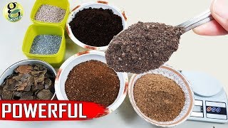 Best DIY Fertilizer Mix Recipe Universal Allpurpose Mixed Fertilizer Powder [upl. by Levon]