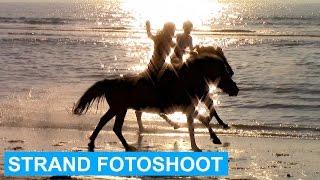 Texel VLOG 5 Beach photoshoot amp Wesla injured  ENGL SUBS  felinehoi [upl. by Aicercul]