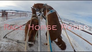 Race Horse Rodeo [upl. by Eserehs]