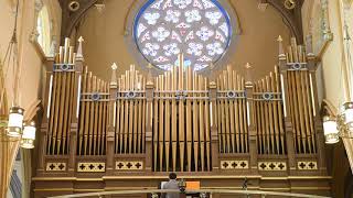 Pipe Organ Recital from the Cathedral of the Immaculate Conception [upl. by Wiatt]