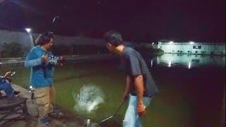 Mancing Hiu Air Tawar Sensasi Mantap Bro [upl. by Eiramanin925]