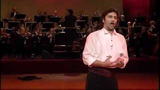 Jonas Kaufmann  Blumenarie aus der Oper Carmen 2011 [upl. by Ettebab468]