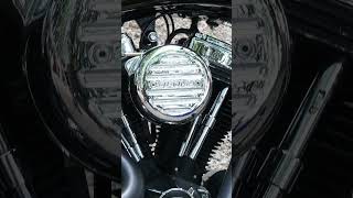 Hells angels concentration Harley Davidson dans le 66 vol2 automobile moto rock hellsangels [upl. by Eedrahs179]