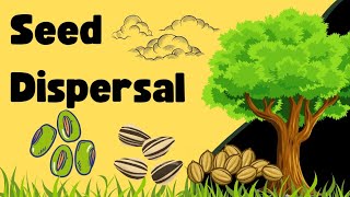 Seed Dispersal Explained for Kids  Wind Water amp Animal Seed Dispersal Learning Lounge209 [upl. by Raoul199]