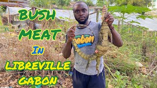 BUSH MEAT IN LIBREVILLE GABON  IGUANA🇬🇦 [upl. by Lepp]