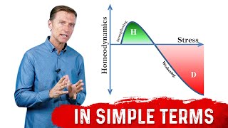 What Is Hormesis amp How It Works – DrBerg [upl. by Geraldina]