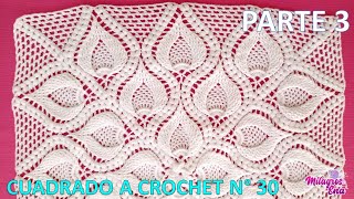 PARTE 3 Como tejer el Cuadro o cuadrado N° 30 a crochet en punto de hojas relieves y espigas [upl. by Aekal]