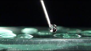 Hydrophile et hydrophobe — expérience scientifique 605 de Grains de bâtisseurs [upl. by Alodee]