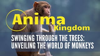 Swinging Through The Trees  Unveiling The World Of Monkeys [upl. by Sigfrid]