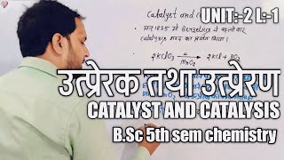 Catalyst and Catalysis in Hindi  Types of Catalyst  BSc 5th sem chemistry [upl. by Nnylsia]