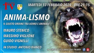 ANIMALISMO IL GIUSTO ORDINE TRA UOMO E ANIMALE STENICO VIGLIONE VIGNELLI IN STUDIO A BIANCO [upl. by Prober]