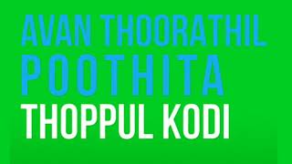 Tholanin tholgalum annai madi Green screen lyrics video [upl. by Arty188]