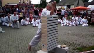 Karate Skill 14 Bricks [upl. by Aicele]