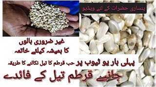 benefits of safflowers seeds safflower seed Oil  kurtum oil nikaalne Ka tarika [upl. by Coryden536]