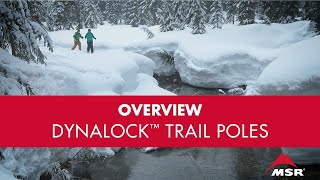 MSR DynaLock™ Trail Poles [upl. by Sik]