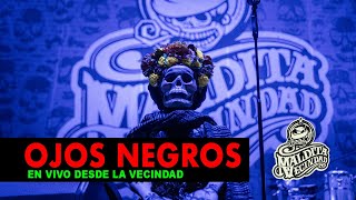 Maldita Vecindad  Ojos Negros Video Oficial [upl. by Gnut893]