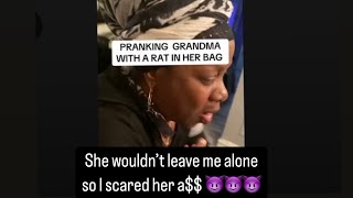 FUNNY RAT IN GRANDMA BAG PRANK [upl. by Yemerej]