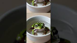 Boiling frog strategy channel news 2024parisolympic shorts youtube video viral [upl. by Fisken635]