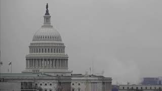 MU Agribusiness Management Student Interns with the US House of Representatives [upl. by Cirederf]