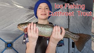 Catching Cutthroat Trout Through The Ice At Scofield Reservoir [upl. by Paddie]