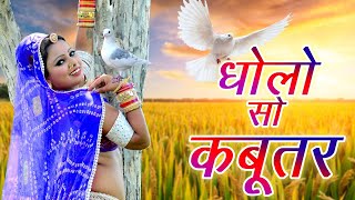 Dholo So Kabutar  धोलो सो कबूतर  HDVideo राजस्थान में ये गाना जबरजस्त धूम मचा रहा है जरूर देखे [upl. by Vite484]