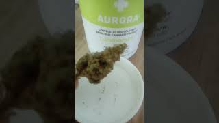 aurora luminarium  nz medical cannabis [upl. by Cora629]