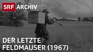 Beruf Feldmauser 1967  Berufe die es so nicht mehr gibt  SRF Archiv [upl. by Salahi]