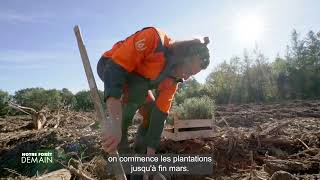 🌳NFD Extrait Renouvellement des forêts avec le reboisement Emission 7 [upl. by Allecsirp]