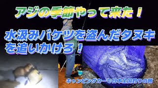 アジの季節がやって来た・水汲みバケツを盗んだタヌキを追いかける「佐賀県星賀漁港の釣り」 [upl. by Arec]