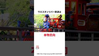 ウェスタンリバー鉄道に関する面白い雑学ディズニー ディズニーリゾート ディズニーランド雑学 [upl. by Alcinia]