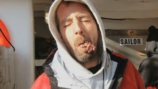 Biting the Head Off the Bait Fish  Deadliest Catch [upl. by Sirdi579]