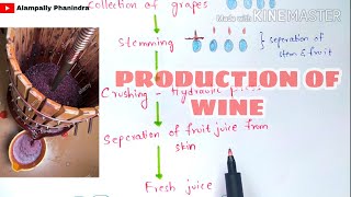 Preperation of wine by fermentation in industries  Production of wine  Grape wine  Bio science [upl. by Asinet755]