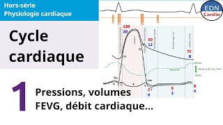 Physiologie cardiaque  Cycle cardiaque  explications sur les pressions les volumes etc [upl. by Ttelracs846]