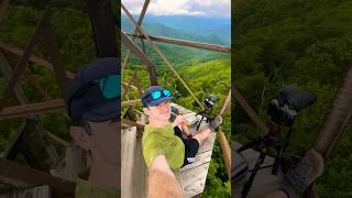 Little Stony Man Mountain summit on Appalachian Trail Shenandoah National Park hiking trail [upl. by Laemaj711]