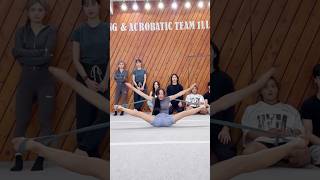 유연성 챌린지⁉️😱 Flexibility Challenge [upl. by Anawik431]