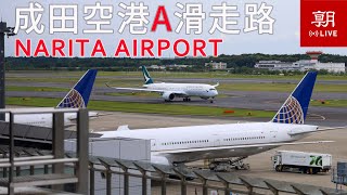 【LIVE】成田空港ライブカメラ A滑走路南側）＠朝日新聞成田支局 LIVE at Narita International airport [upl. by Rosemari]